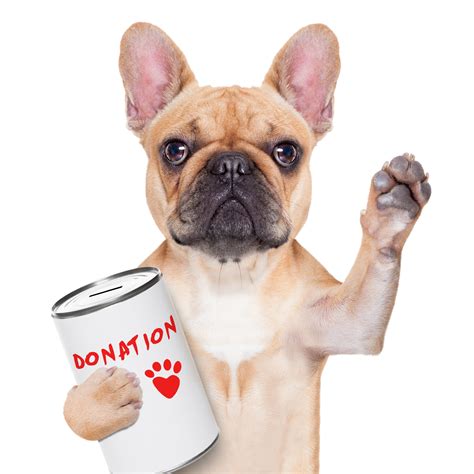 dogs donate